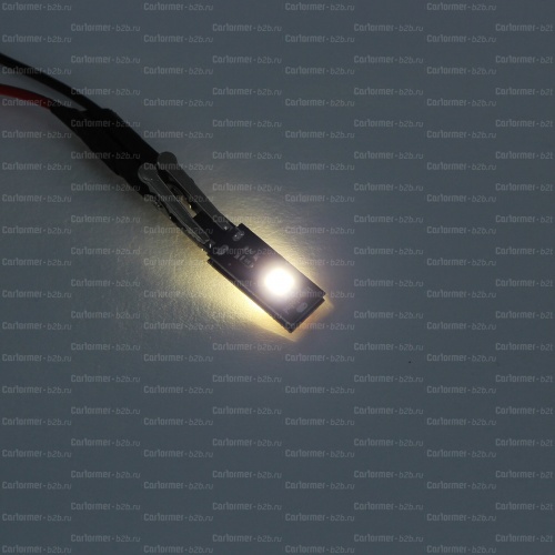 Светодиодная лампа Carformer WS202-CAN220 фото 2